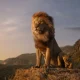 Mufasa: The Lion King 2024 Hollywood Movie ibomma Download