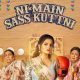 Ni Main Sass Kuttni 2 2024 Punjabi Movie ibomma Download In HD